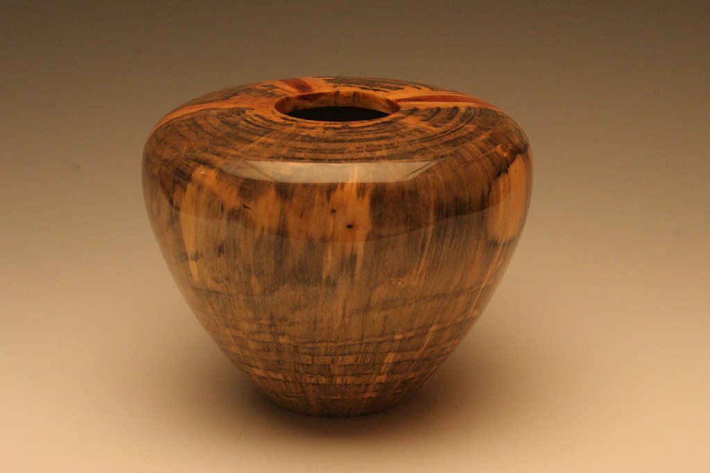 Norfolk Island Pine Hollow Form